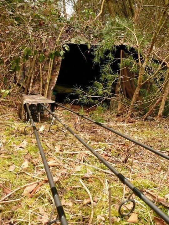 For Carp - 46120370687659695022474485539n1.jpg